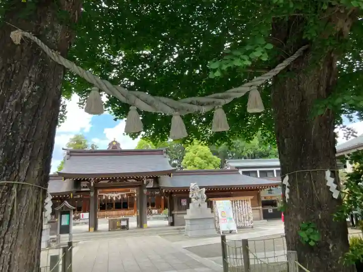 亀ケ池八幡宮の{uncategorized: "未分類", other: "その他", undefined: "問題あり", building: "その他建物", grave: "お墓", sacred_gate: "鳥居", guardian: "狛犬", statue: "像", buddha: "仏像", history: "歴史", nature: "自然", garden: "庭園", animal: "動物", pagoda: "塔", temizu: "手水舎", mountain_gate: "山門・神門", sanctuary: "本殿・本堂", subordinate: "末社・摂社", art: "芸術", scenery: "景色", jizo: "地蔵", ema: "絵馬", goshuin: "御朱印", omikuji: "おみくじ", items: "授与品その他", amulet: "お守り", goshuincho: "御朱印帳", eats: "食事", festival: "お祭り", votive_dance: "神楽", shichigosan: "七五三参", wedding: "結婚式", experience: "体験その他", initially: "初詣", around: "周辺", anti_infection: "感染症対策"}