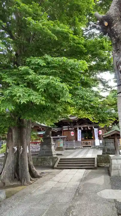 滝野川八幡神社(東京都)