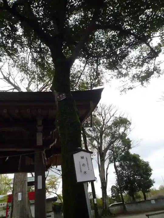 一言主神社の自然