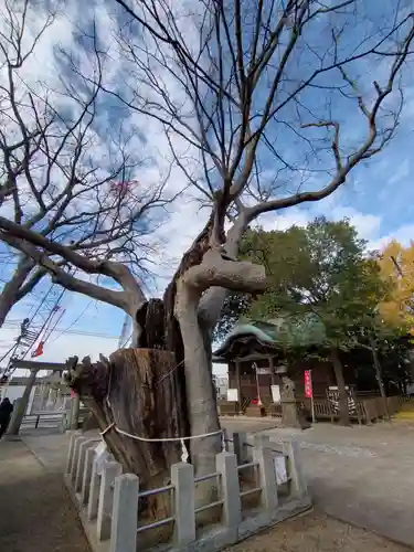 阿邪訶根神社(福島県)