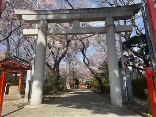 村富神社の鳥居