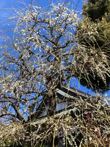法蓮寺(神奈川県)