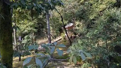 鹿苑寺（金閣寺）(京都府)