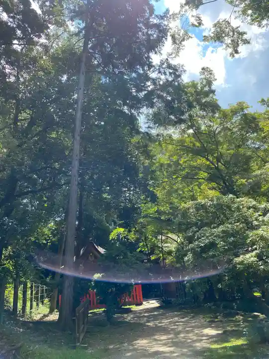 賀茂別雷神社(上賀茂神社)(京都府)