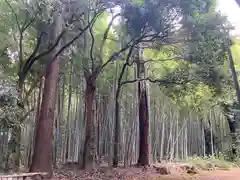 逢善寺(茨城県)