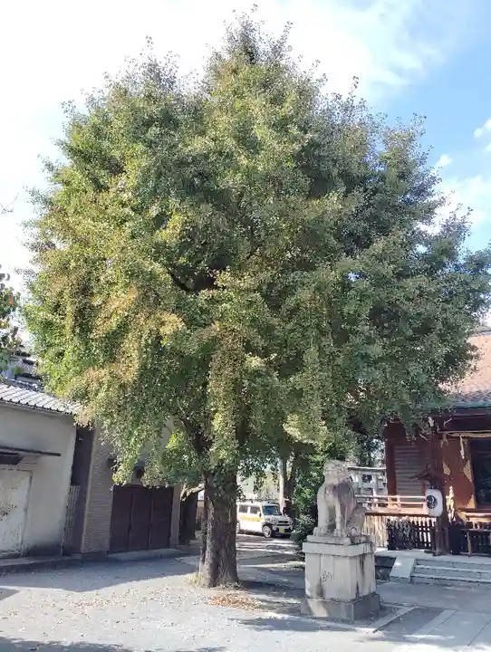 鎧神社(東京都)