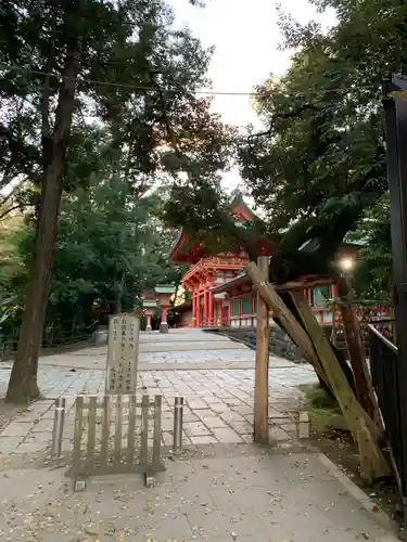 武蔵一宮氷川神社の本殿