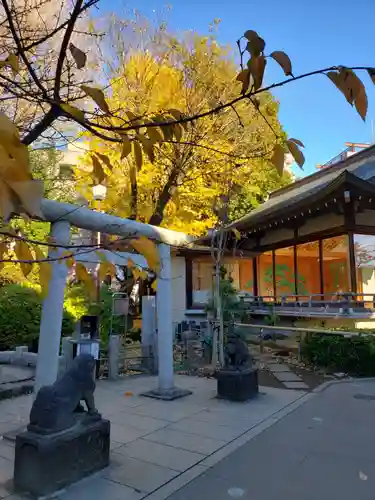 鳩森八幡神社の鳥居