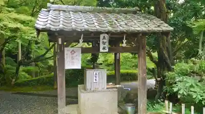 今熊野観音寺の手水舎