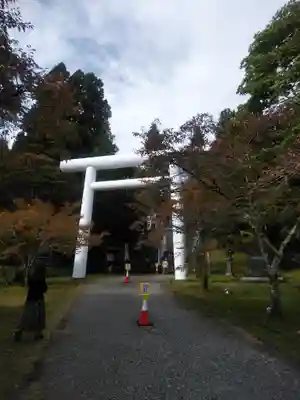 土津神社|こどもと出世の神さまの鳥居