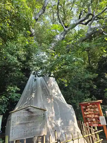 城山八幡宮(愛知県)