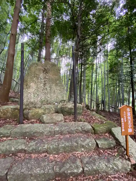 熊野那智大社(和歌山県)