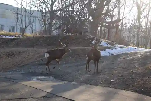釧路一之宮 厳島神社(北海道)
