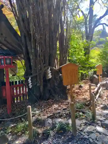 貴船神社(京都府)