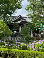 白山神社(東京都)