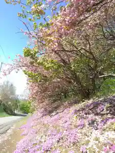 厚別神社(北海道)(2023年05月16日(火) 09時13分14秒投稿)