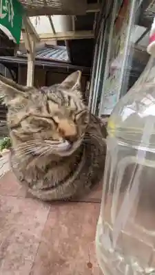 福住寺(愛知県)