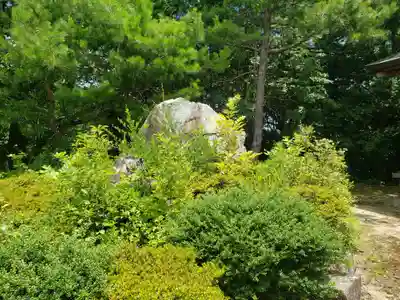 稲村神社の自然