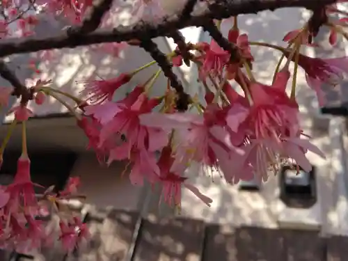 寿福寺(東京都)