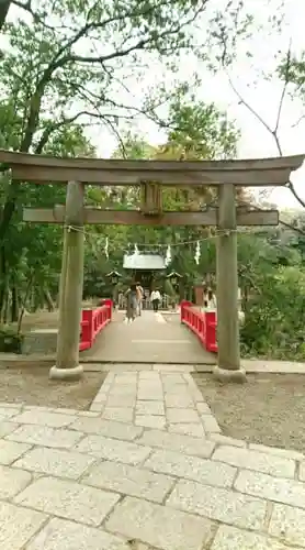 武蔵一宮氷川神社の鳥居