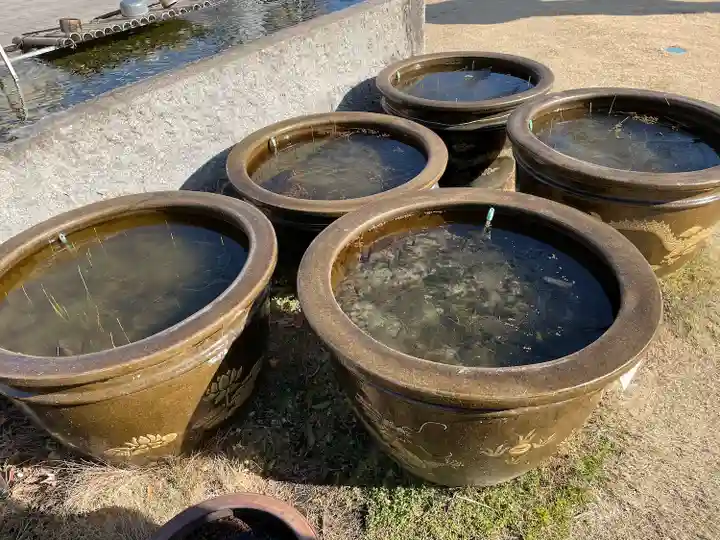 築地本願寺(本願寺築地別院)(東京都)