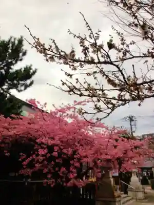 新宿下落合氷川神社(東京都)