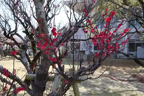 防府天満宮(山口県)