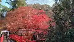養父神社(兵庫県)