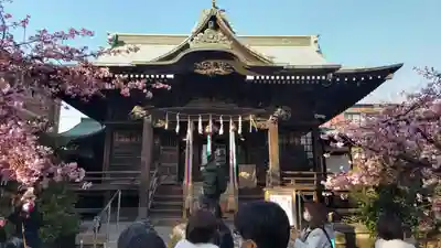 桜神宮(東京都)