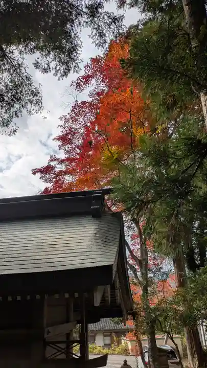 梅之宮神社(江文神社境外摂社・御旅所)(京都府)