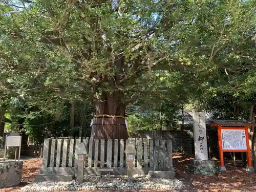 熊野速玉大社の自然