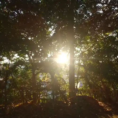冨塚八幡宮(神奈川県)