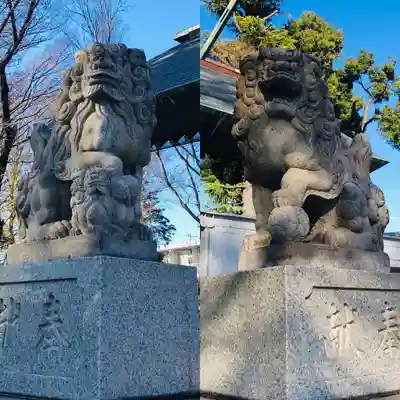 所澤神明社の狛犬