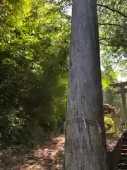 岡山神社(福井県)