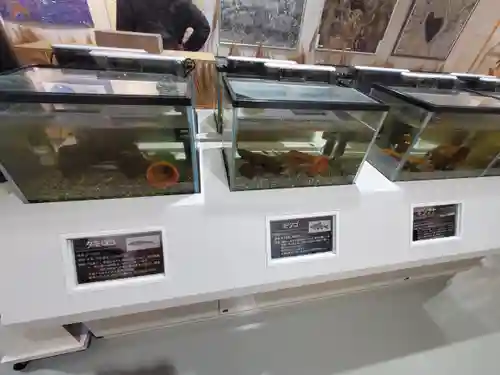 東光院(栃木県)