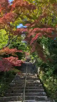 二尊院(京都府)