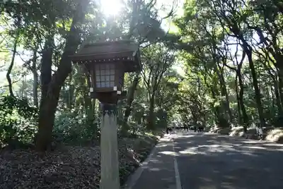 明治神宮(東京都)