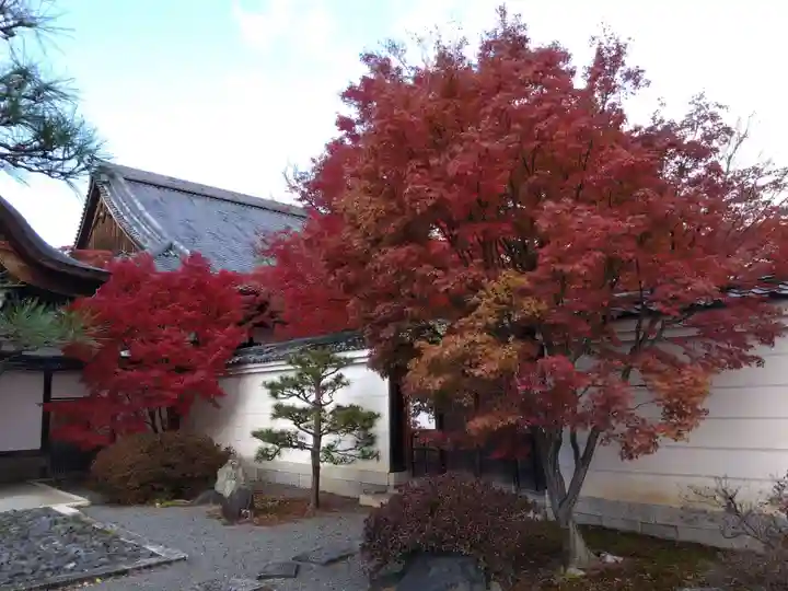 妙覺寺(妙覚寺)(京都府)