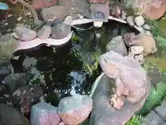 導きの社 熊野町熊野神社(くまくま神社)の庭園