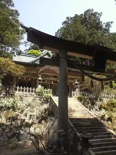 玉置神社の本殿