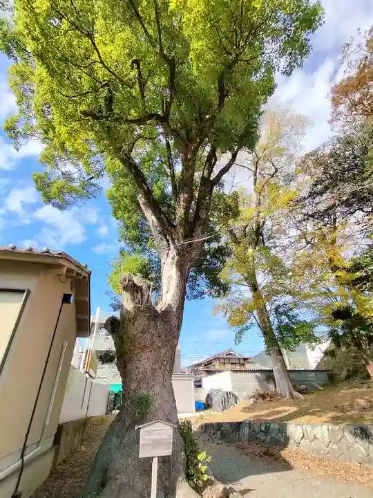 保津八幡宮社(京都府)