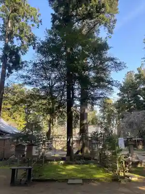 小御門神社(千葉県)
