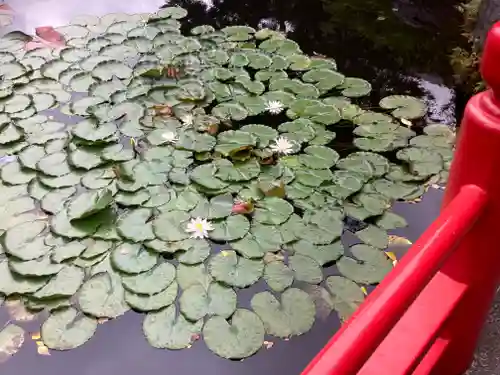 弁財天社(東京都)