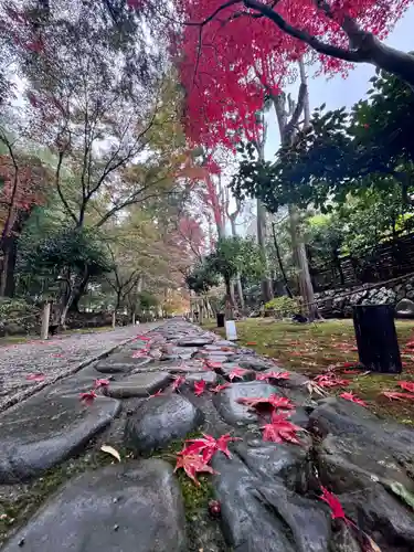鹿王院(京都府)