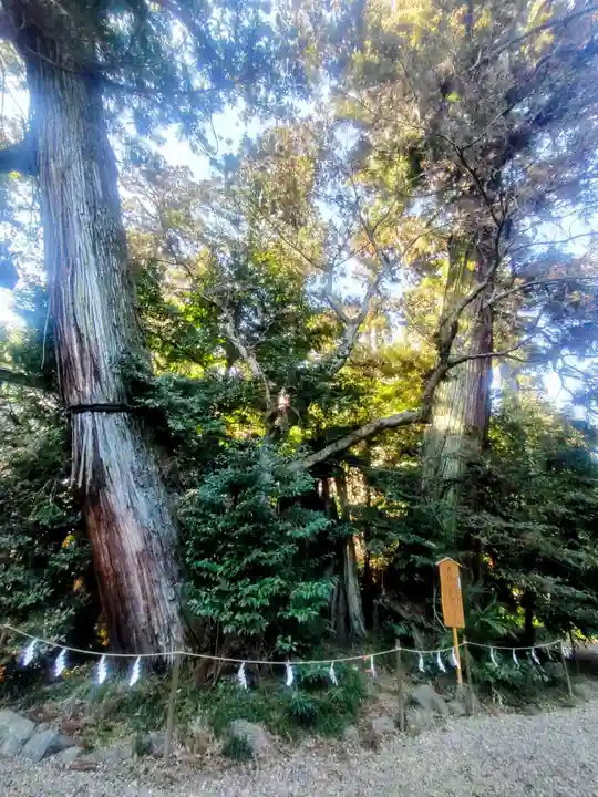 香取神宮(千葉県)