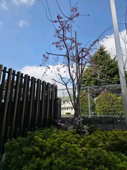 駒込妙義神社の{uncategorized: "未分類", other: "その他", undefined: "問題あり", building: "その他建物", grave: "お墓", sacred_gate: "鳥居", guardian: "狛犬", statue: "像", buddha: "仏像", history: "歴史", nature: "自然", garden: "庭園", animal: "動物", pagoda: "塔", temizu: "手水舎", mountain_gate: "山門・神門", sanctuary: "本殿・本堂", subordinate: "末社・摂社", art: "芸術", scenery: "景色", jizo: "地蔵", ema: "絵馬", goshuin: "御朱印", omikuji: "おみくじ", items: "授与品その他", amulet: "お守り", goshuincho: "御朱印帳", eats: "食事", festival: "お祭り", votive_dance: "神楽", shichigosan: "七五三参", wedding: "結婚式", experience: "体験その他", initially: "初詣", around: "周辺", anti_infection: "感染症対策"}