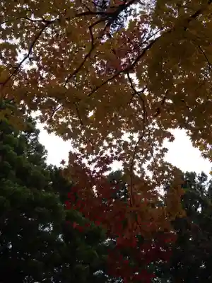 大宮五十鈴神社(長野県)