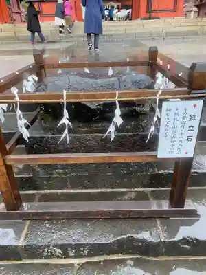 富士山本宮浅間大社(静岡県)