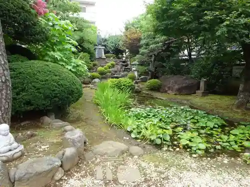 感通寺の庭園