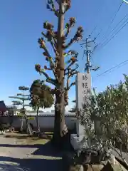 東雲寺(埼玉県)